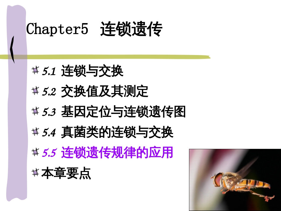 Chapter5连锁遗传规律_第3页