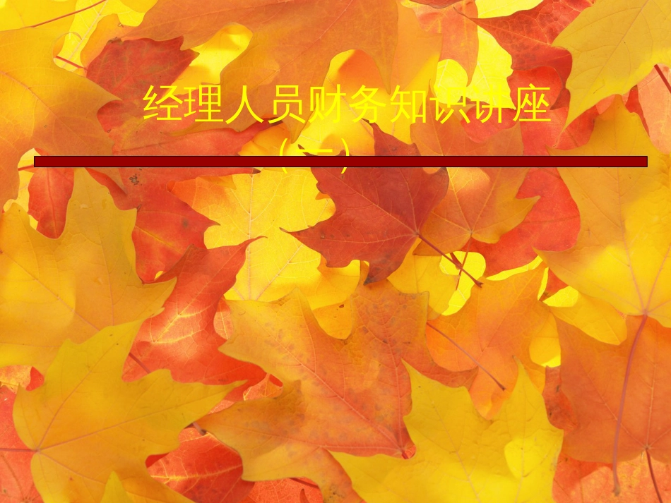 A经理人员财务知识11_第1页