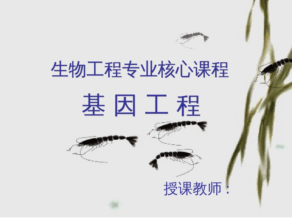 1 基因工程的基本概念 2 基因工程的诞生 3 基因工程的研究内容 4 基因_第1页