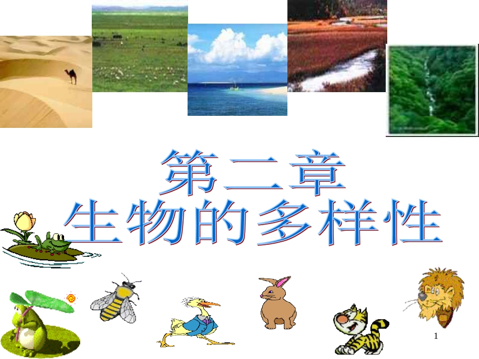 62认识生物的多样性(新)_第1页