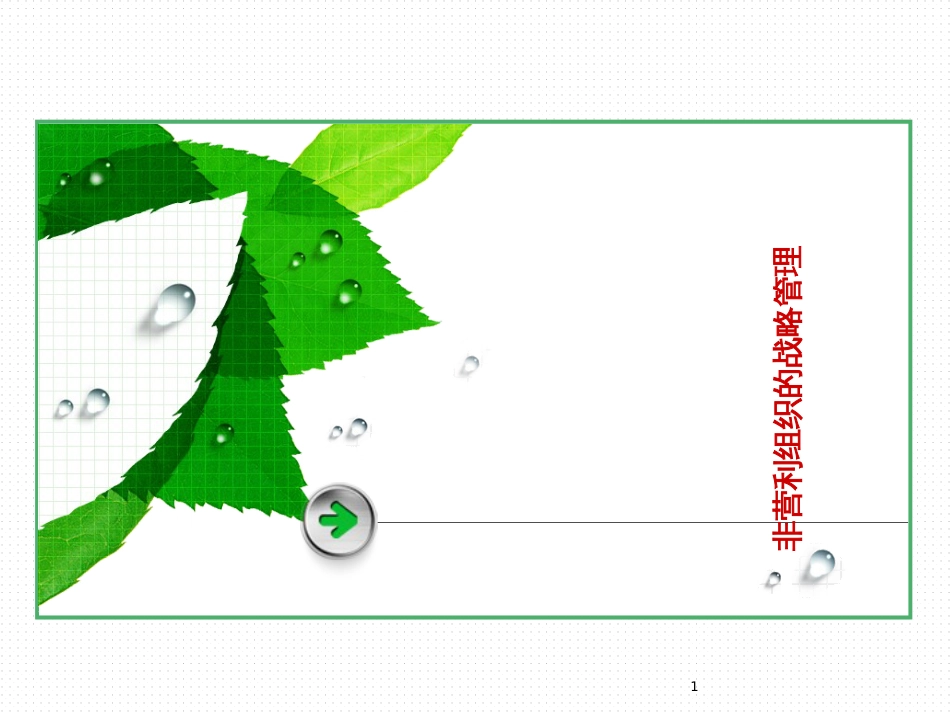 6非营利组织的战略管理_第1页