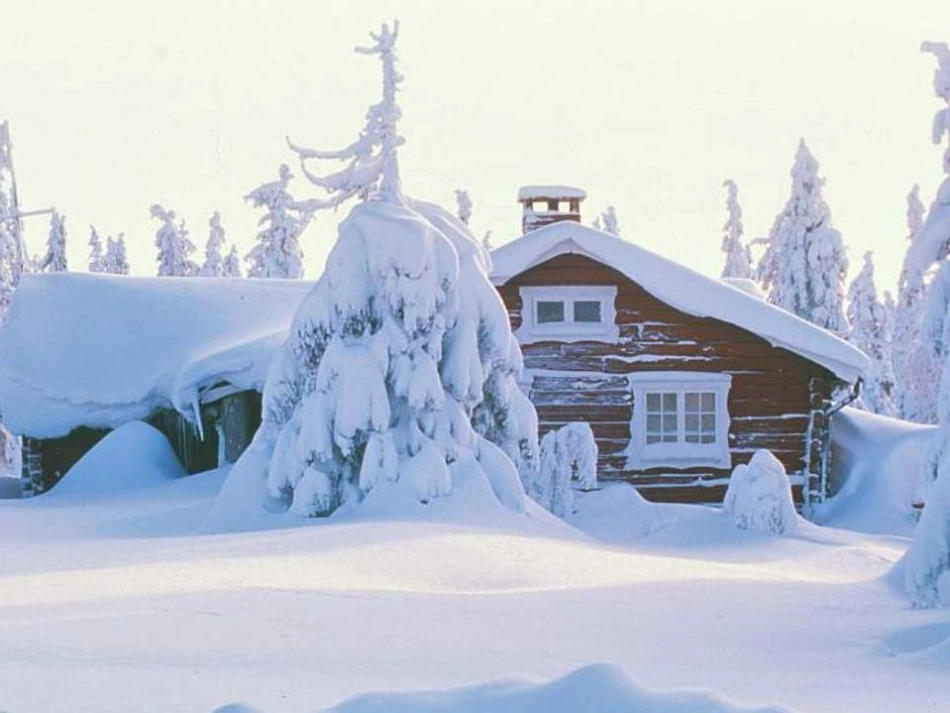《雪地里的小画家》ppt课件_第2页