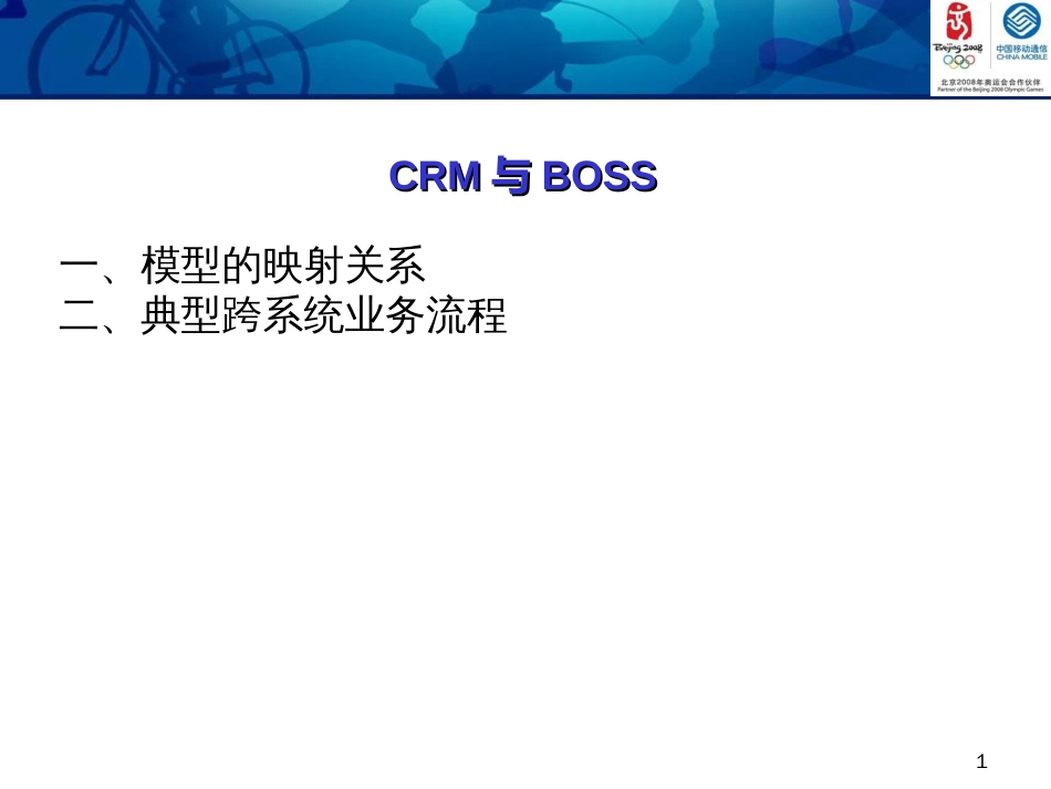 CRM与BOSS重点问题讨论_第1页