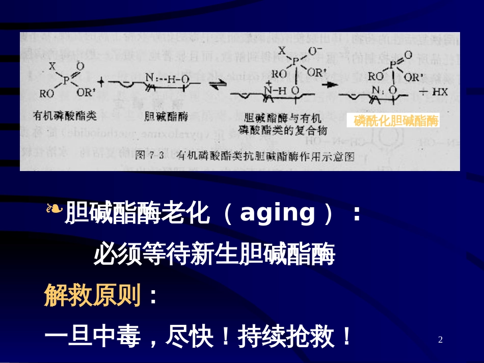 6 3有机磷酸酯类中毒及chE复活药_第2页