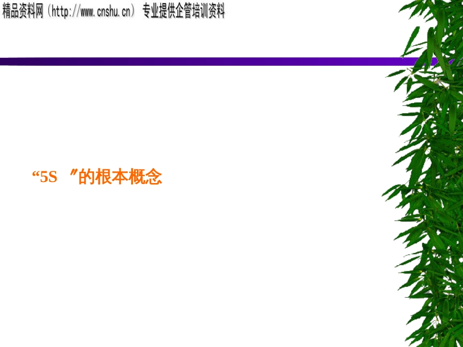 5S-01PPT51_第3页