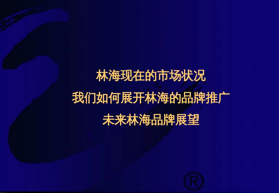 f××摩托-整合品牌传播报告(ppt 83)_第2页