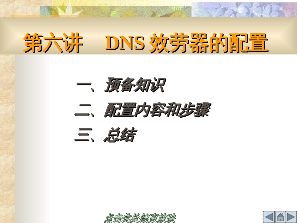 DNS服务器的配置_第1页