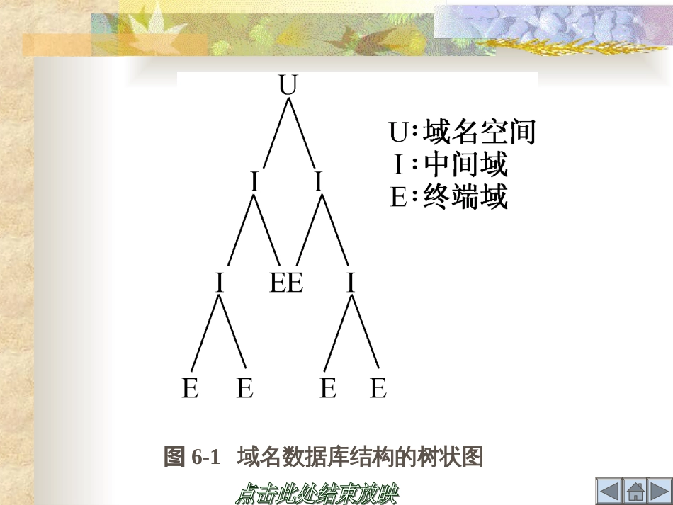 DNS服务器的配置_第3页