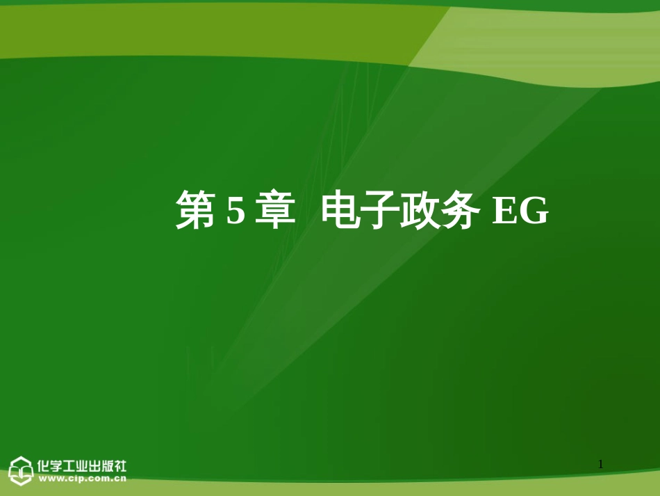 05章 电子政务EG_第1页