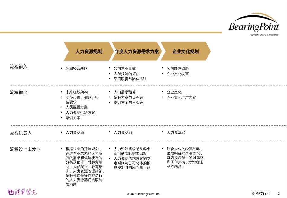 Bearingpoint-人力资源管理流程_第3页