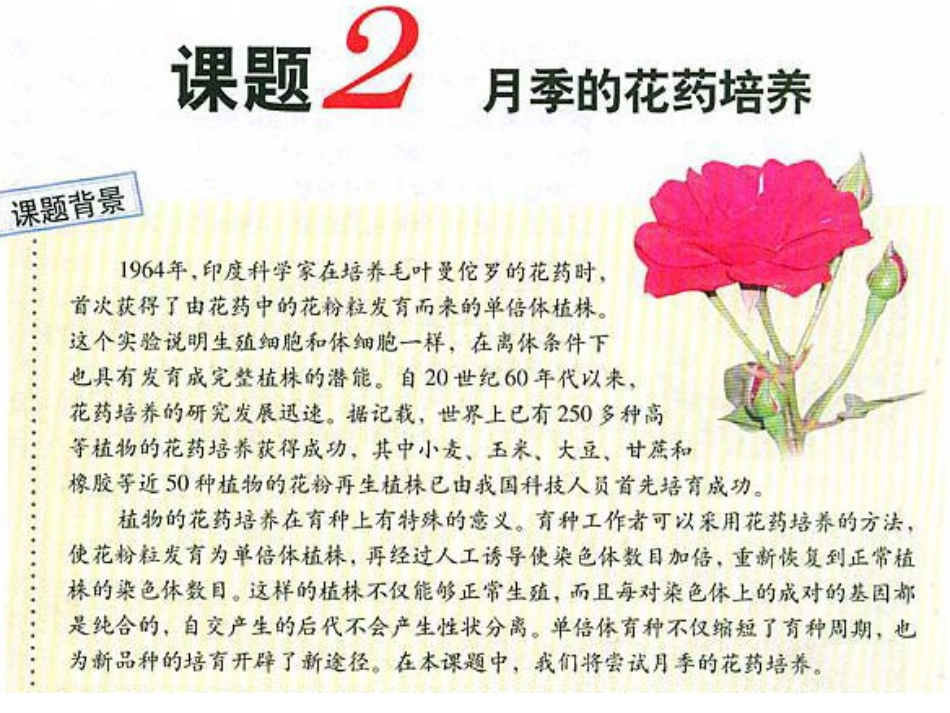 32月季的花药培养(经典)_第1页