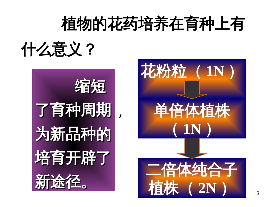 32月季的花药培养(经典)_第3页