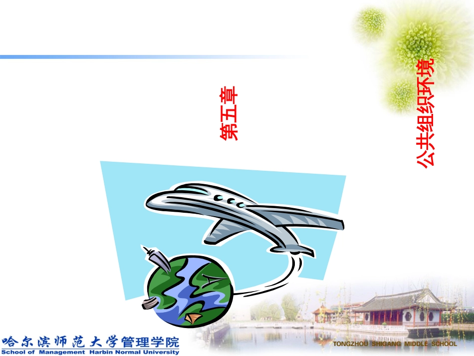 5公共组织环境_第1页