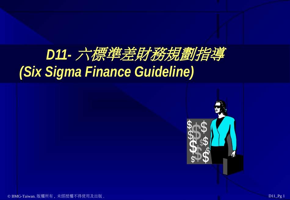 D11_6 Sigma 财务规划指导_第1页