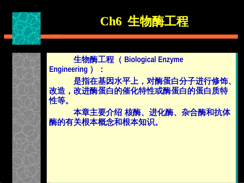 Ch6 生物酶工程_第1页