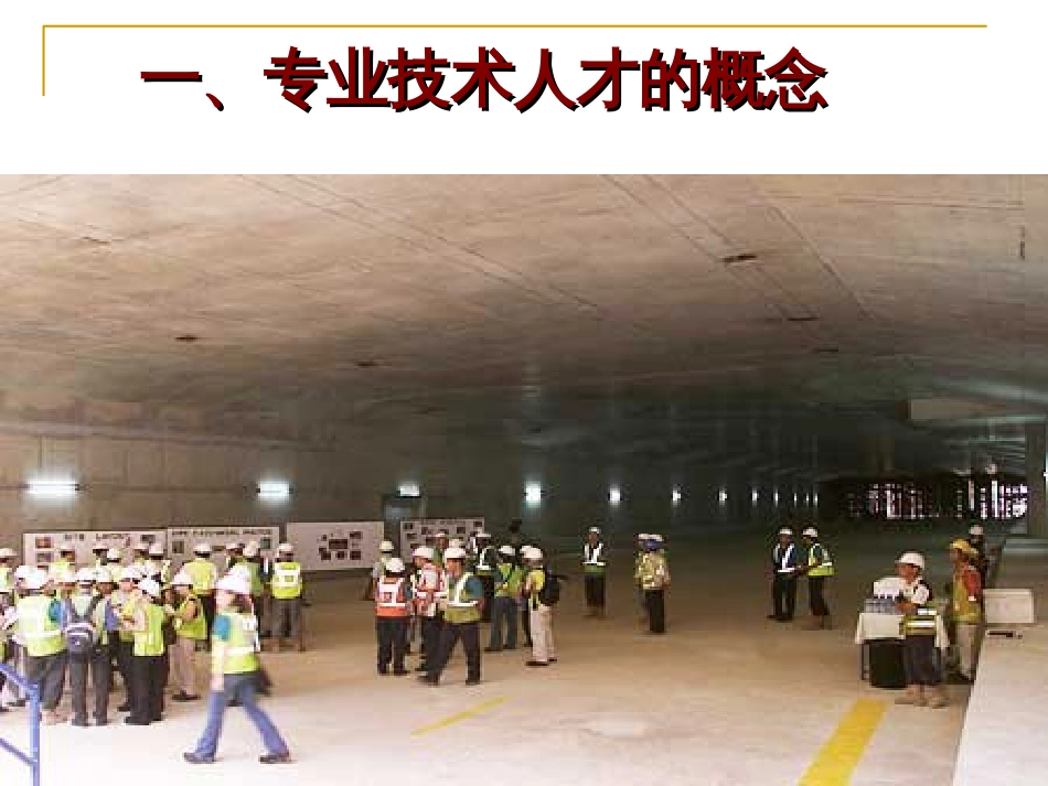 08专业技术人才管理_第3页