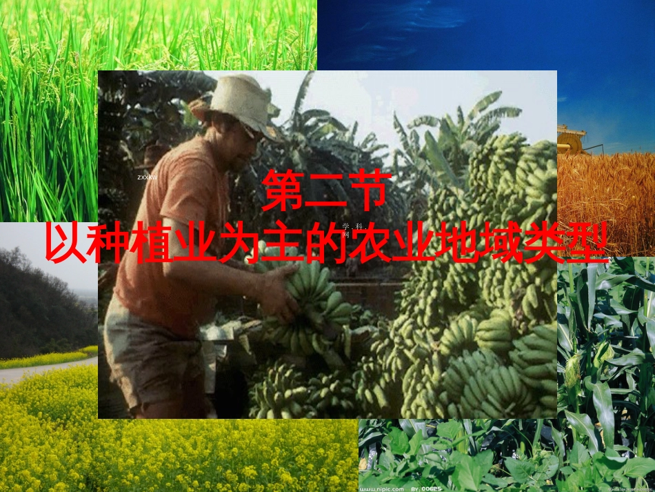 4以种植业为主的农业地域类型_第1页