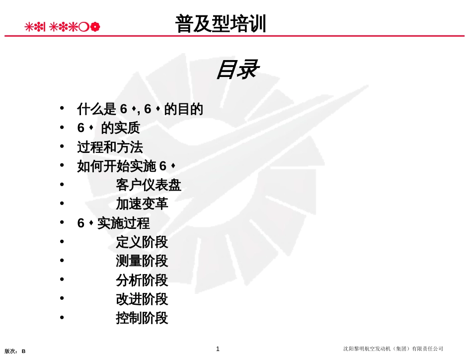 6σ普及型培训教材-B1_第1页