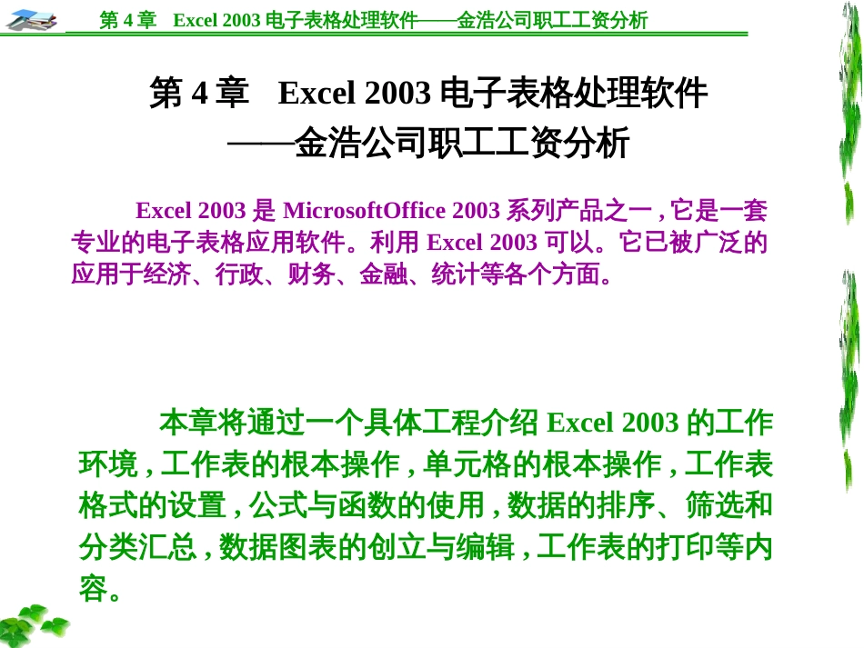 Excel2003电子表格处理软件——金浩公司职工工资分_第1页