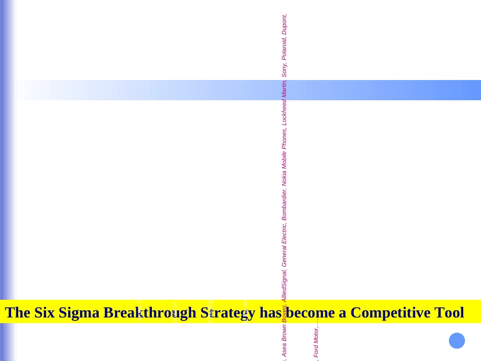 6sigmachampion培训教材(3)_第2页