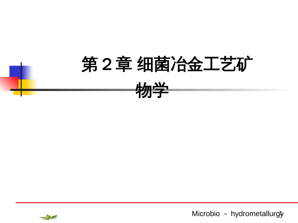 2细菌冶金工艺矿物学_第1页