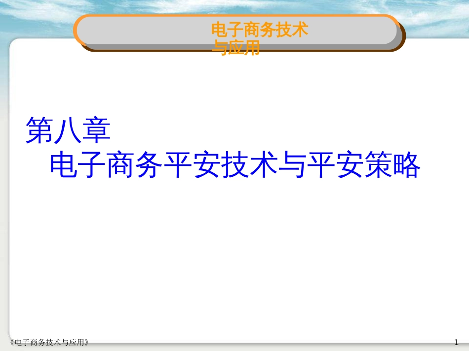 chp8电子商务安全技术与安全策略_第1页