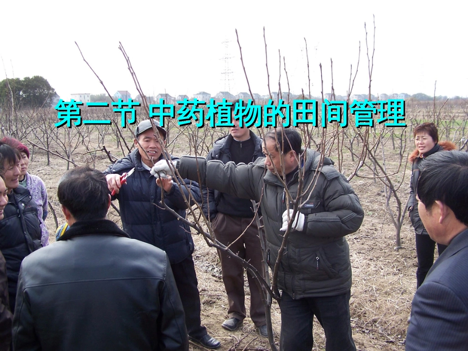 2-4-2第二篇第二节中药植物的田间管理(1)_第2页