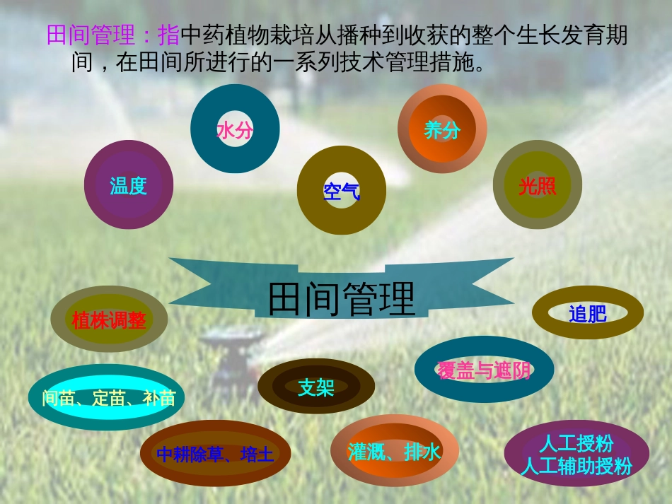 2-4-2第二篇第二节中药植物的田间管理(1)_第3页