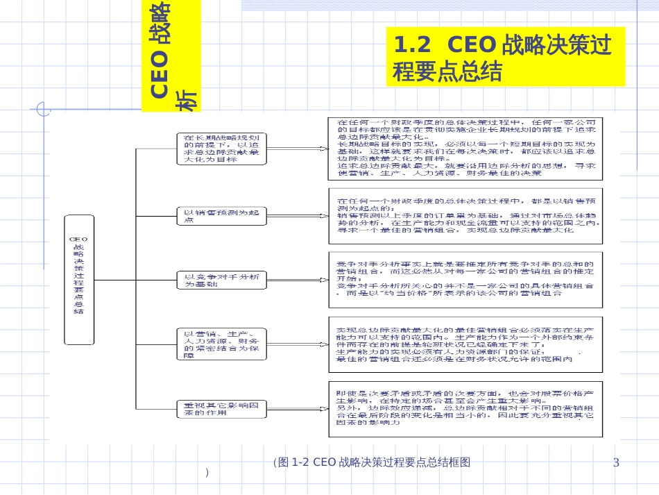 CEO战略管理与决策分析_第3页