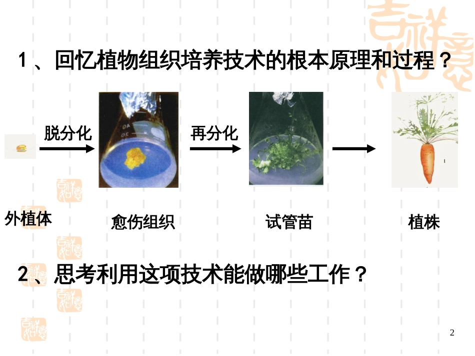 212《植物细胞工程的实际应用》课件(新人教版选修3)_第2页