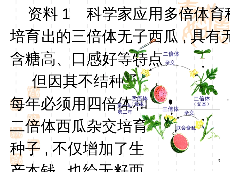 212《植物细胞工程的实际应用》课件(新人教版选修3)_第3页