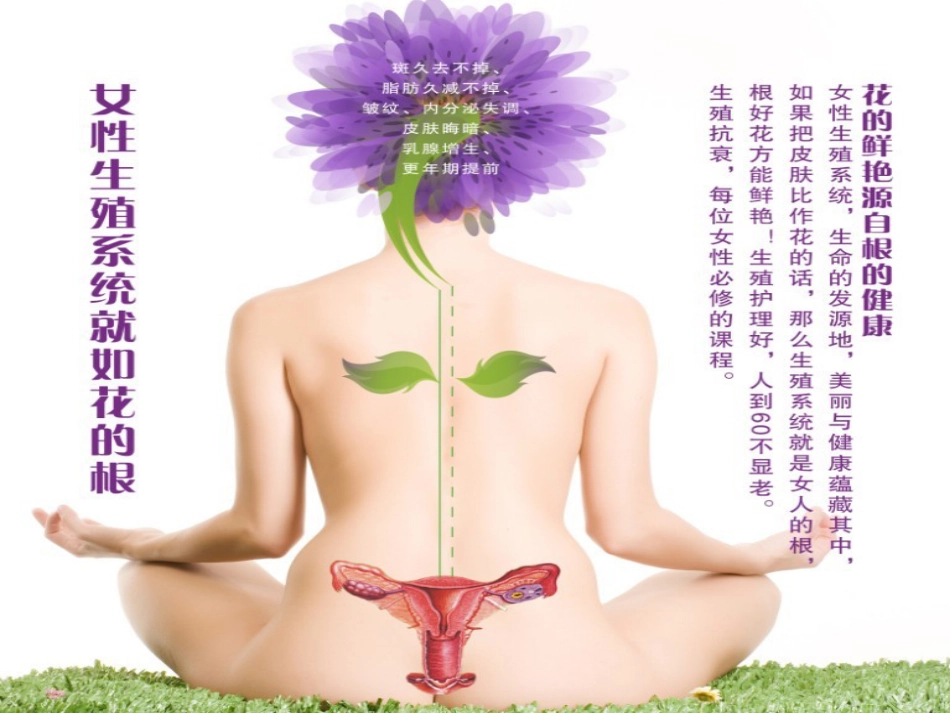 2闺蜜坊项目沙龙疗程设置25_第2页
