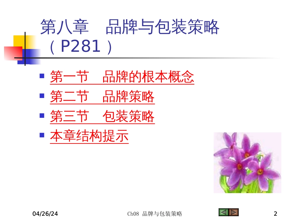 Ch08品牌与包装策略_第2页