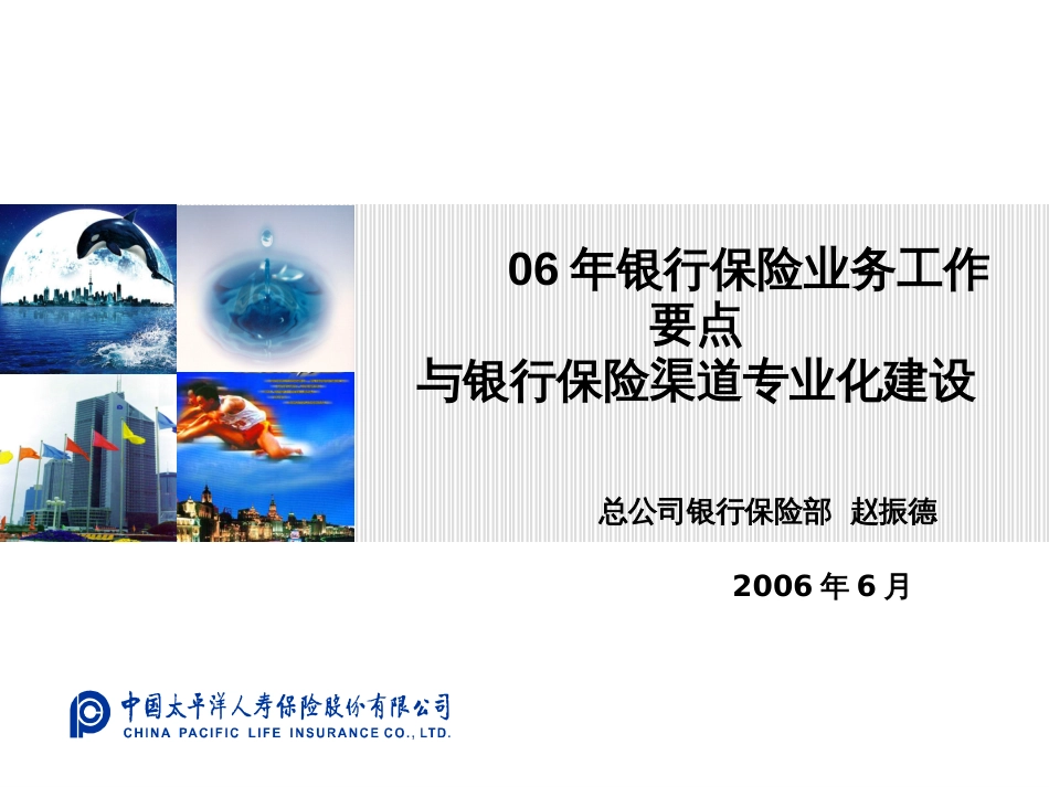 06年银行保险业务工作要点与银行保险渠道专业化建设_第1页