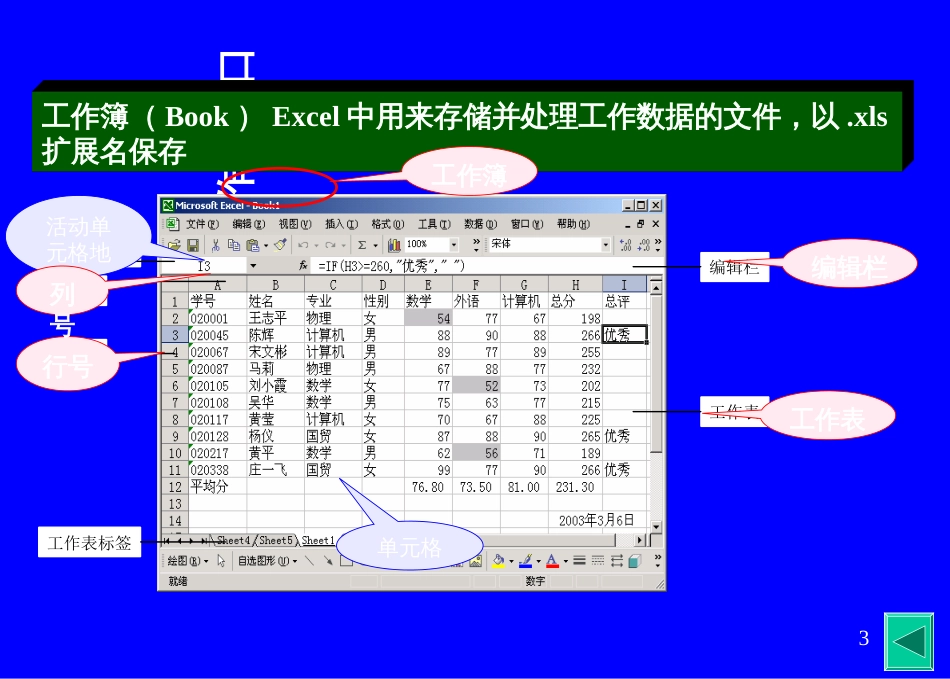 53电子表格软件-计算机文化基础_第3页