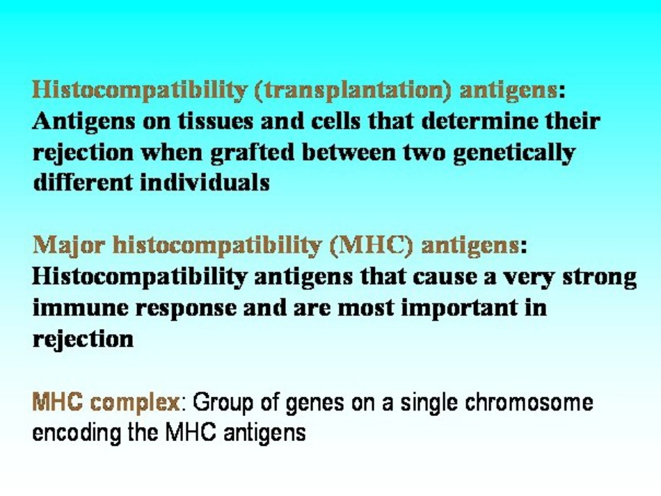 6MHC主要组织相容性复合体_第2页