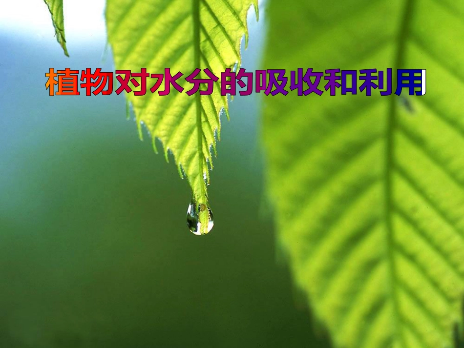 《水分代谢和矿质营养》_第1页