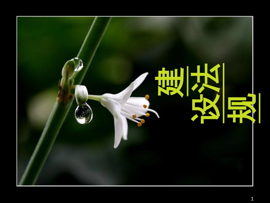1——建设法规_第1页