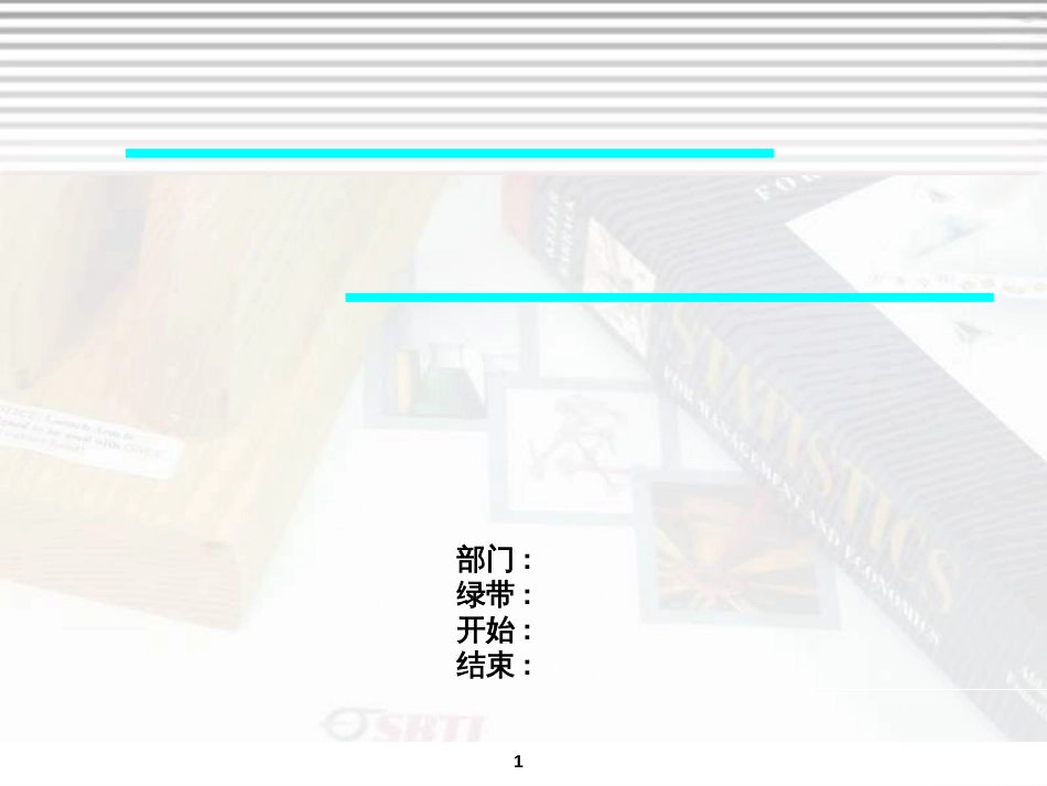 6 Sigma 案例学习 6 Sigma Project templete(DM Phase)_第1页