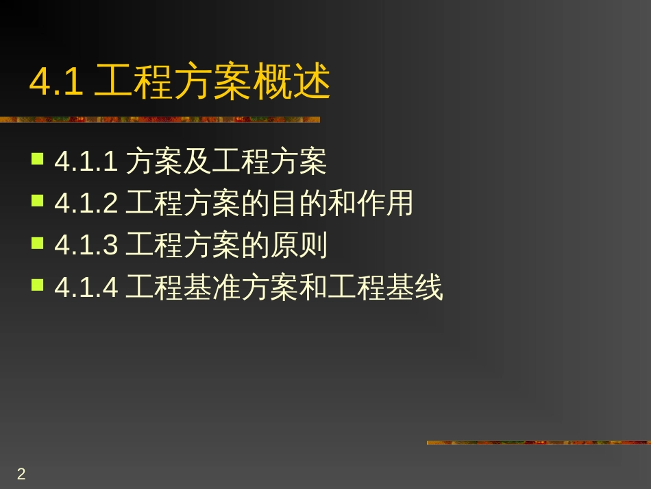 4项目计划(1)_第2页