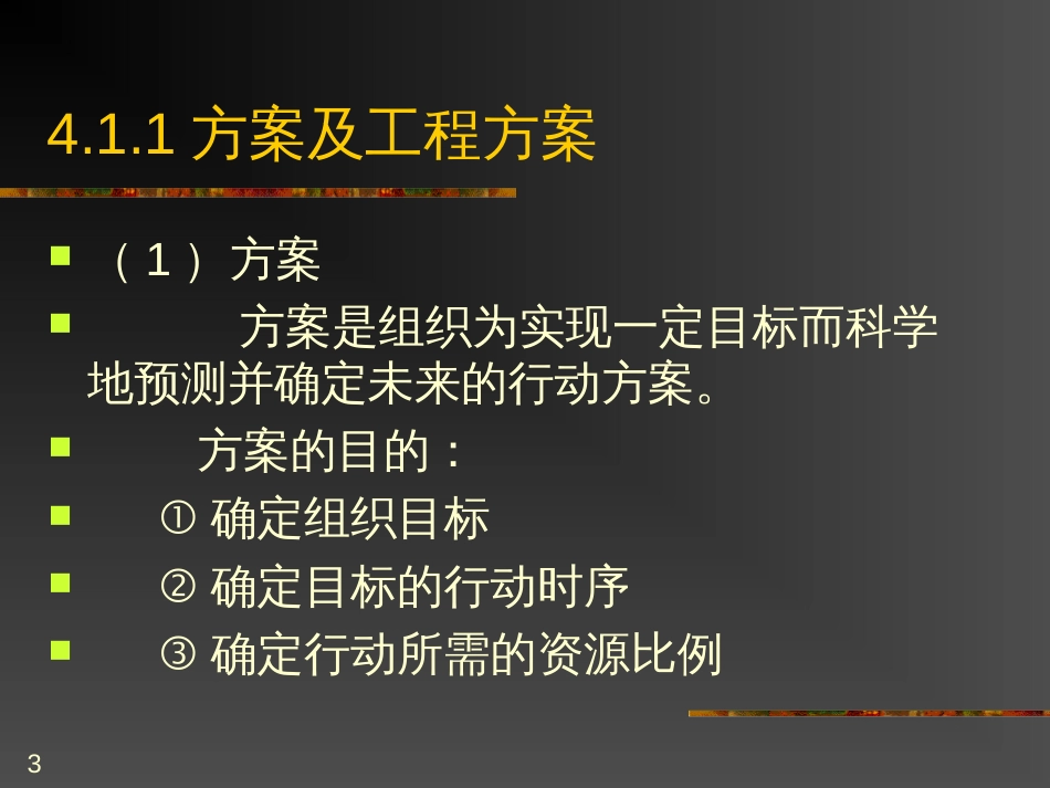 4项目计划(1)_第3页