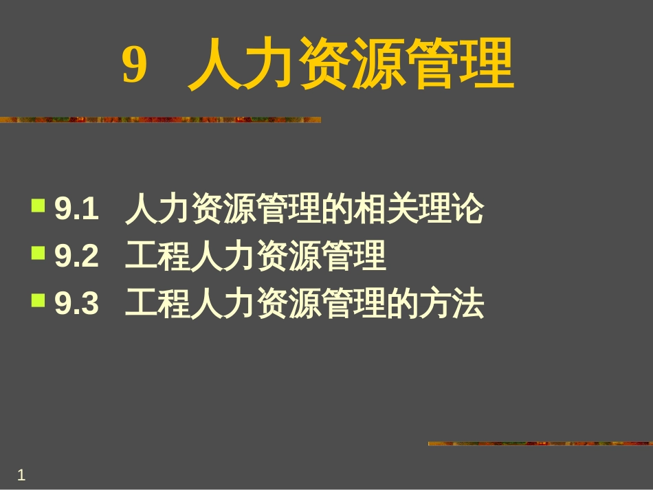 9项目人力资源管理_第1页