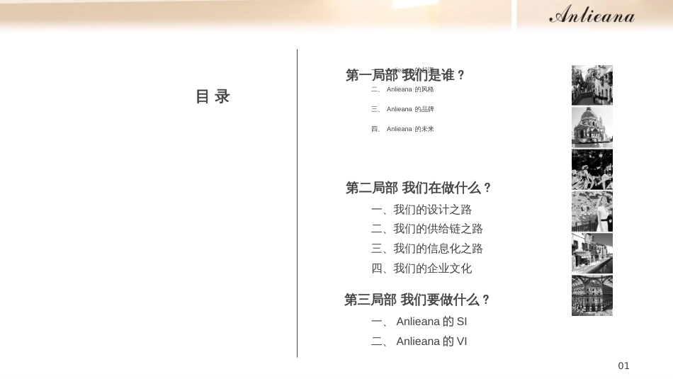 Anlieana加盟商ppt(终极稿)_第2页