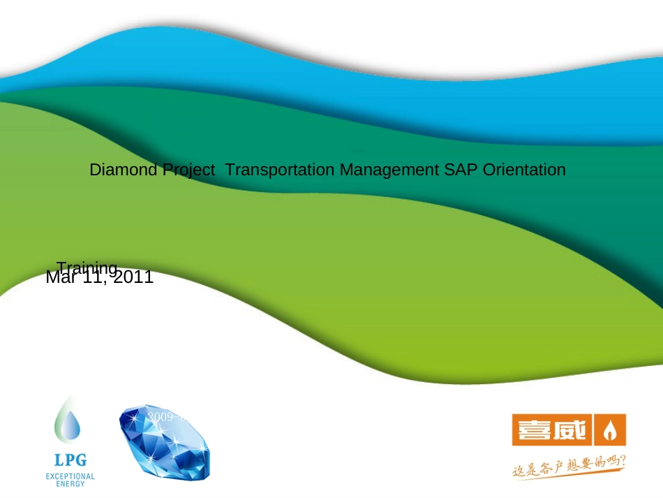 Diamond TM SAP Orientation Training_第1页