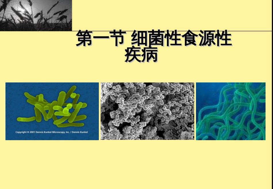 3食品安全卫生原理_第3页
