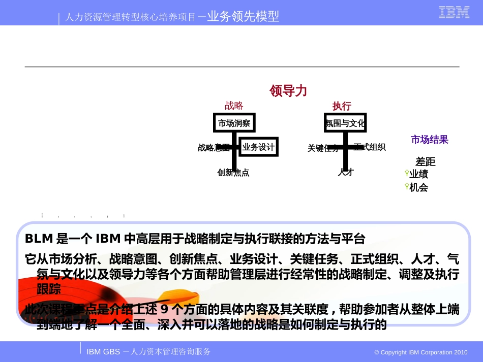 BLM(业务领先模型)_第2页