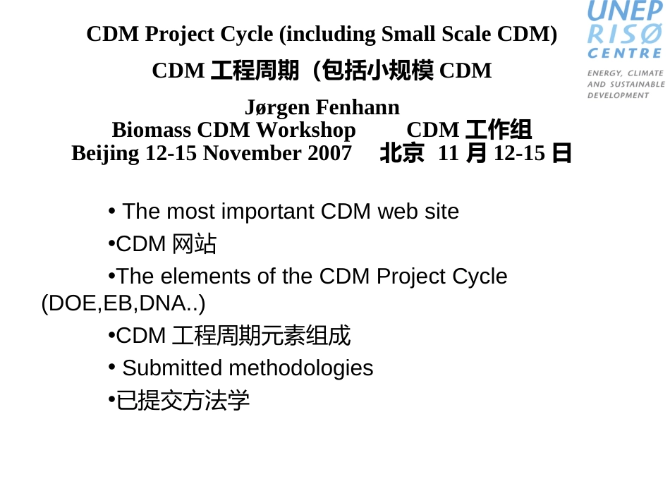 CDM项目周期,小型CDM项目-Folie1_第1页