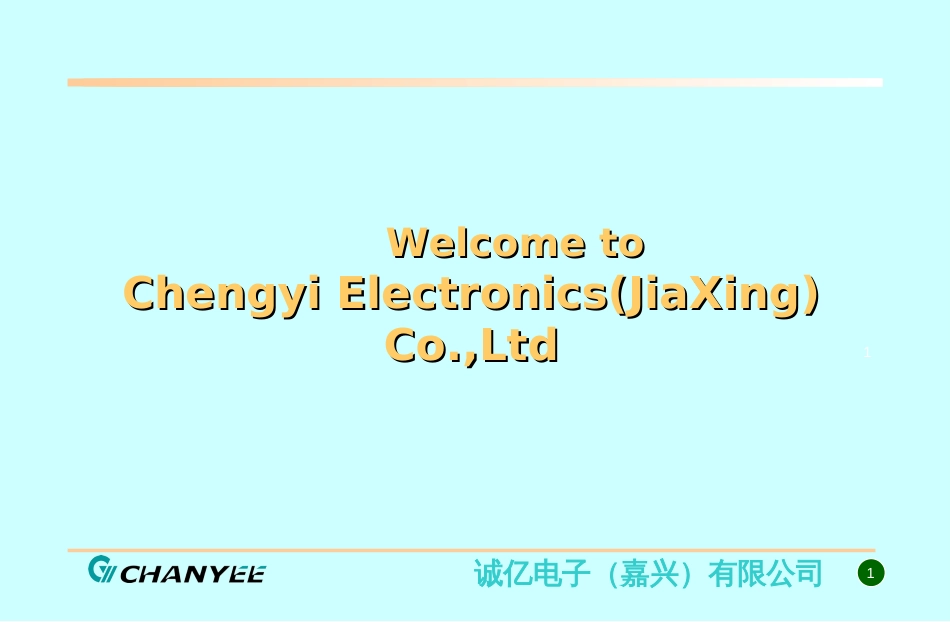 ChengyiElectronics诚亿电子(嘉兴)有限公司_第1页