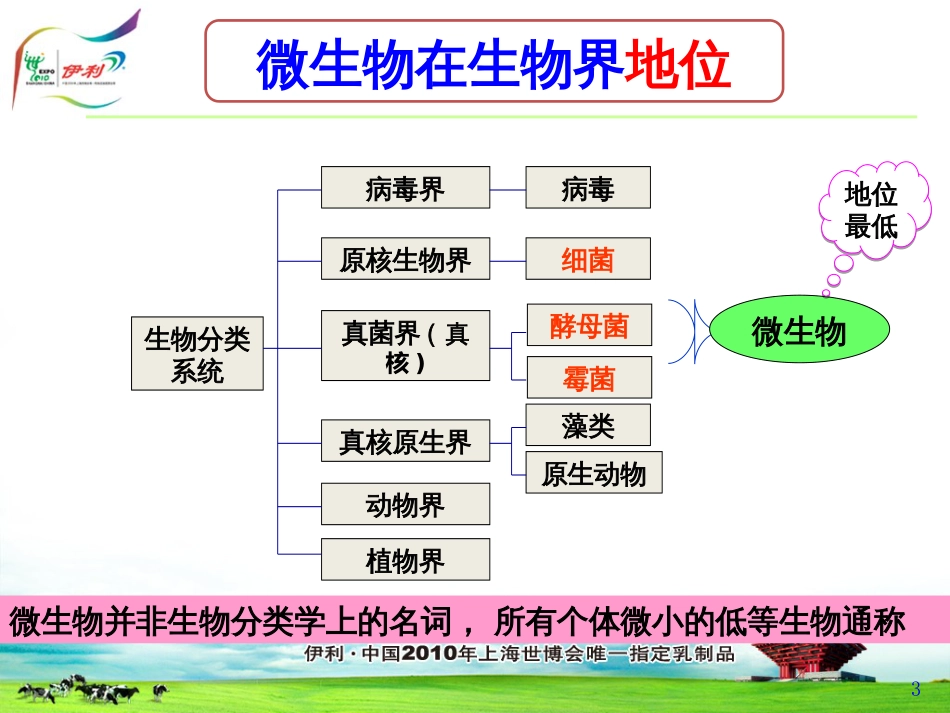 《微生物检验基础知识》-PPT_第3页