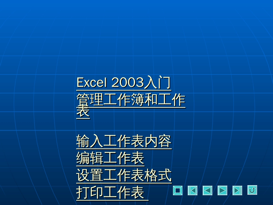 excel2003电子表格制作_第1页